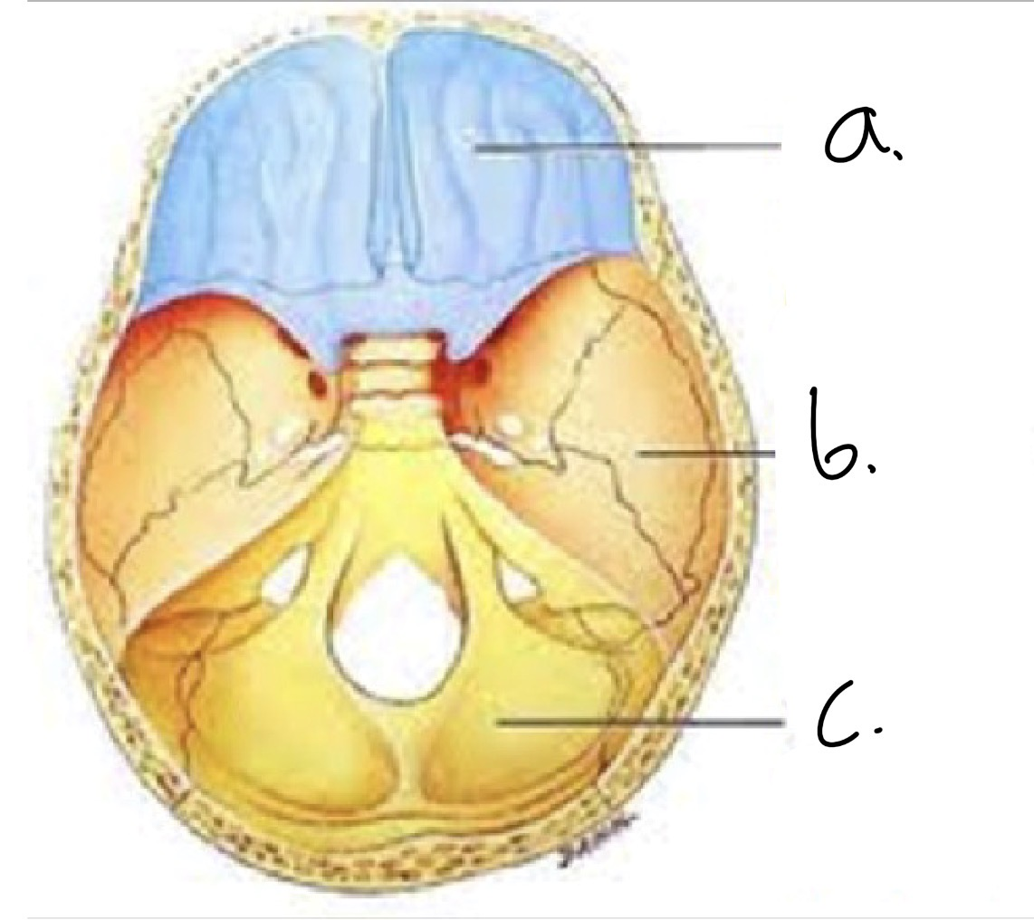 <p>c.</p>