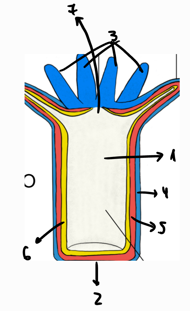 <p>Estructura</p>
