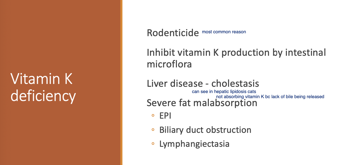 <p>Rodenticide.</p><p>Inhibited Vit K production by intestinal microflora.</p><p>Liver dz - cholestasis.</p><p>Severe fat malabsorption (EPI, Biliary duct obstruction, Lymphangiectasia).</p>
