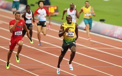 <p>are paid to play a sport as a form of entertainment</p>