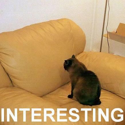 <p>Fascinating (adjective)</p>