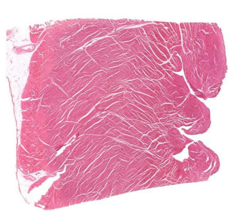 <p>Identify this?</p>