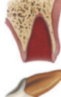 <p>What is this?</p>
