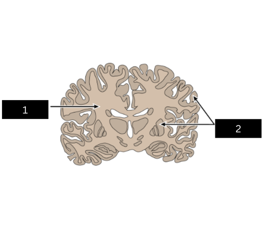 <p>what is figure 2</p>