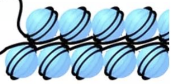 <ul><li><p>Serrée et condensée</p></li><li><p>Généralement les gènes sont mal ou pas exprimés</p></li><li><p>Constitutif ou facultatif</p></li></ul><p></p>