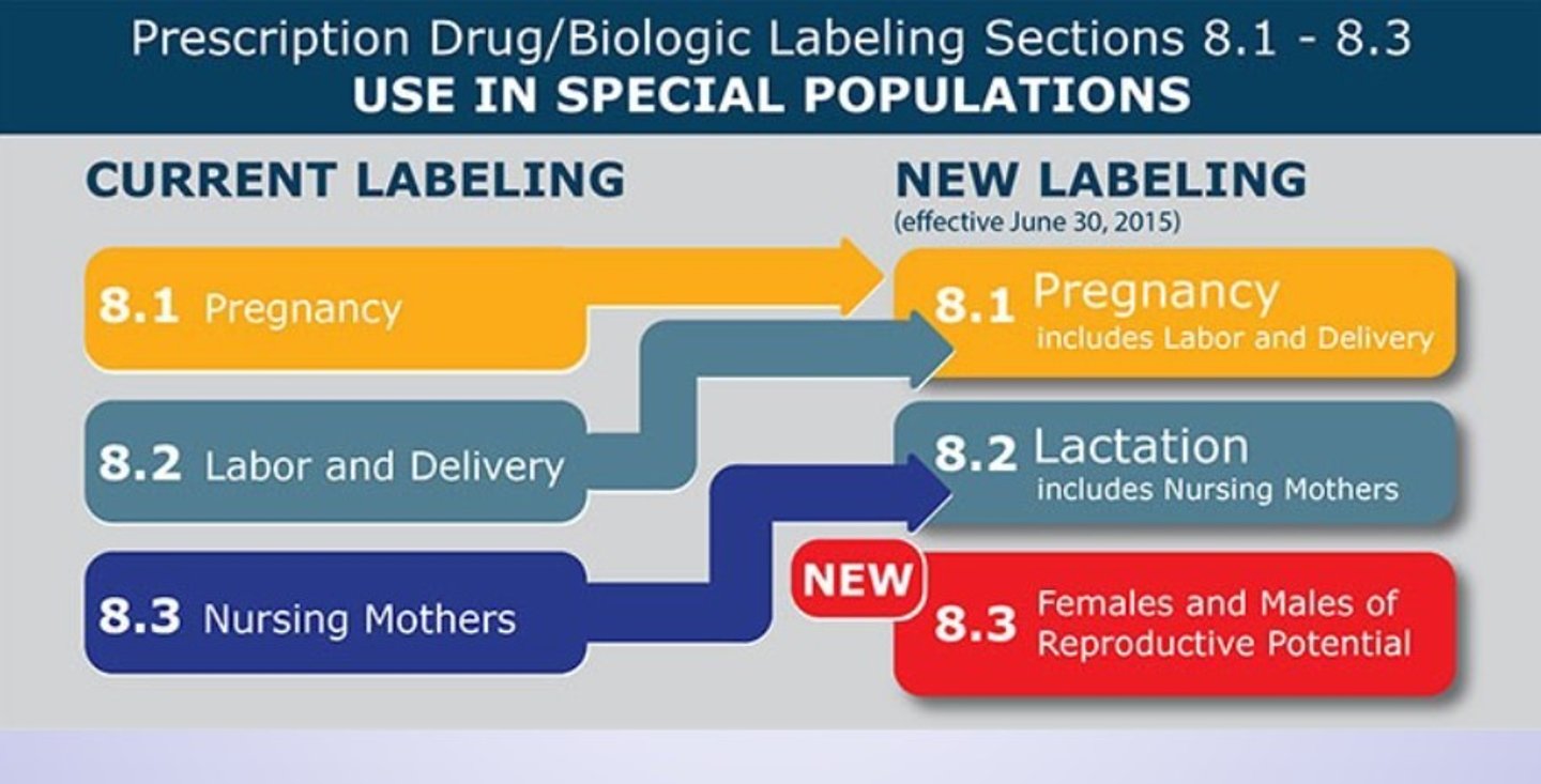 <p>1. pregnancy - info on risks to the fetus, data from humans/animals, and whether there's a registry</p><p>2. lactation - info on drug transfer into breast milk and potential effects on the infant</p><p>3. Females and Males of Reproductive Potential - info on contraception, pregnancy testing, and infertility related to the drug</p>