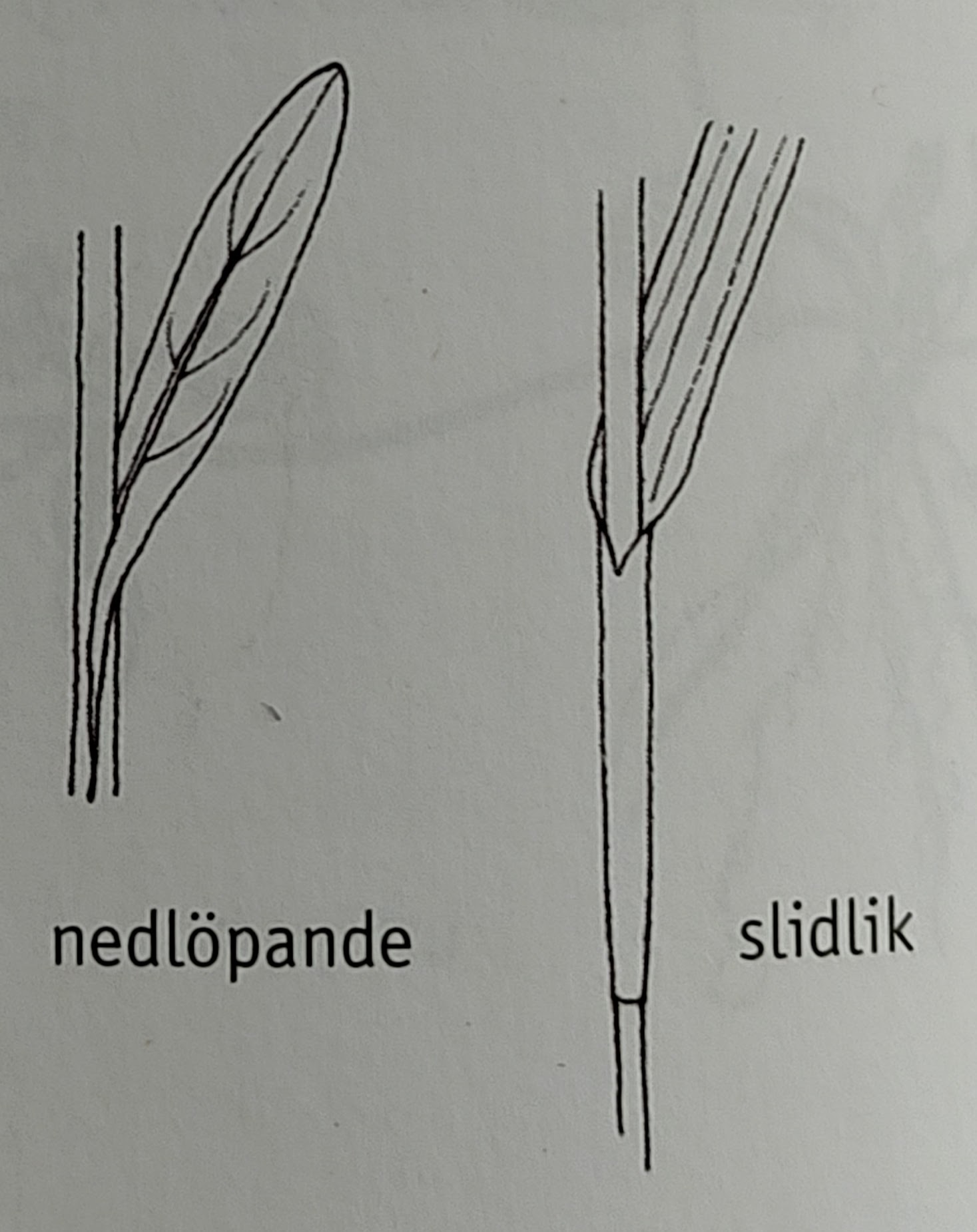 <p></p>