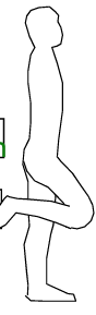<p>Describe the left and right side </p>