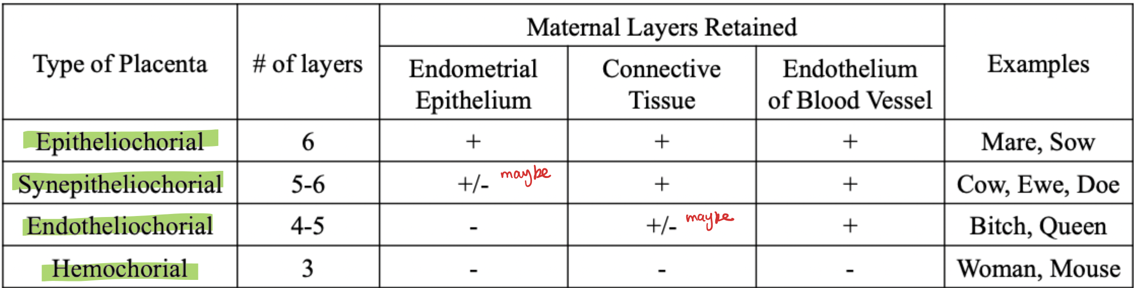 <p>3 fetal layers</p><ol><li><p>Endothelium blood vessels </p></li><li><p>connective tissue </p></li><li><p>chorionallantois </p></li></ol><p></p>