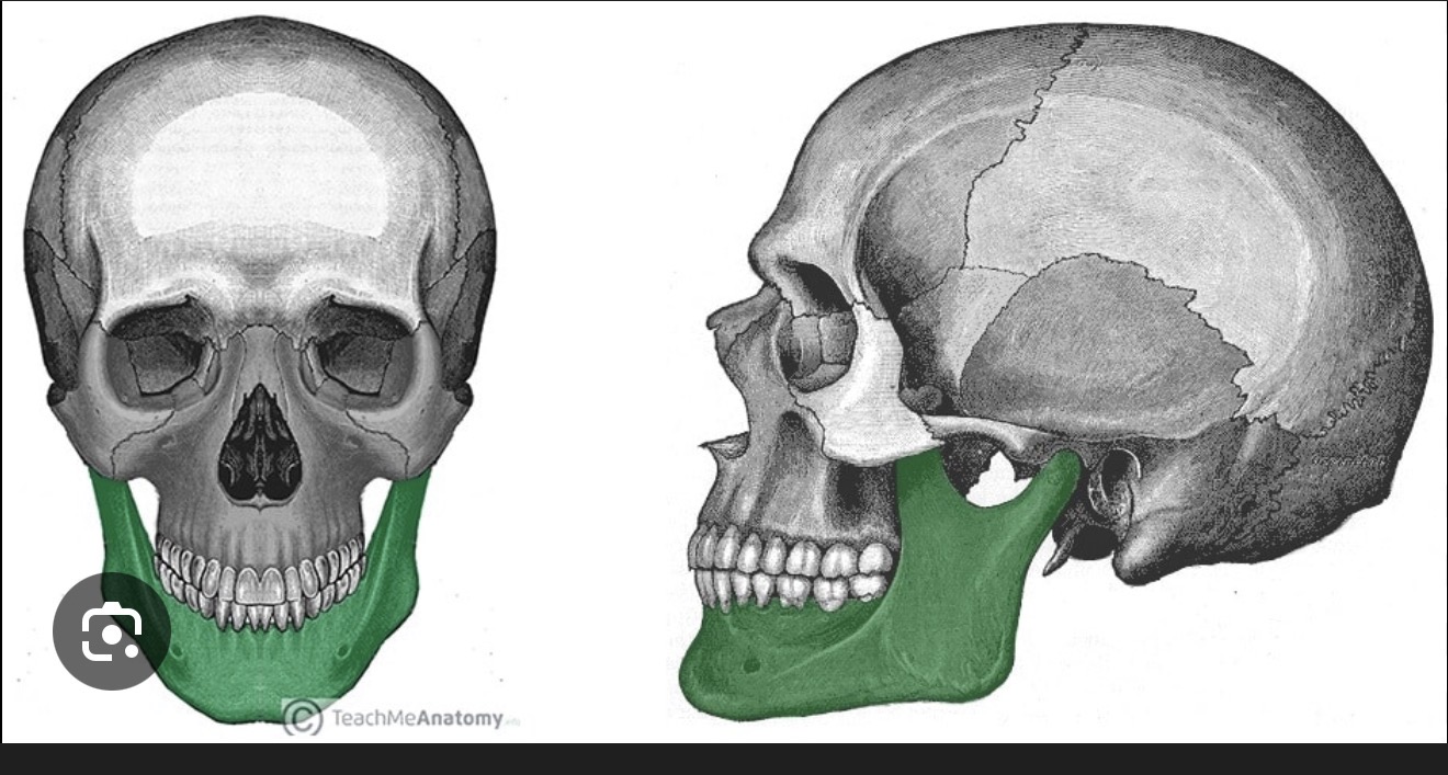 <p>what is this?</p>