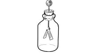 <p>nesse trem ai (eletroscopio), a bola e as folhas ai estao neutras, mas tipo se aproximar um trem POSITIVO, a bola fica NEGATIVA e as folhas POSITIVAS, certo e a mesma coisa ao contrario, bb</p>