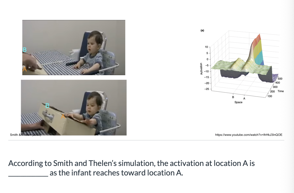 <ol><li><p>self-sustaining for long </p></li><li><p>transient </p></li><li><p>quickly decaying</p></li></ol><p></p>