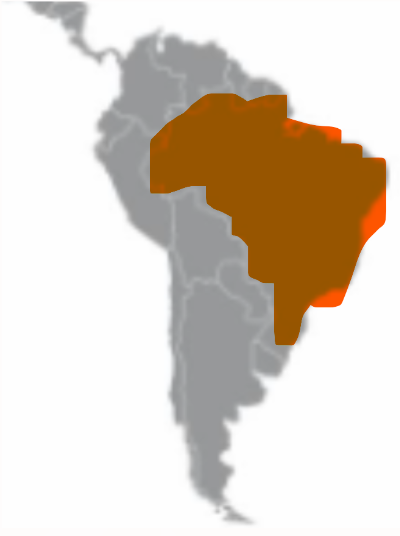 <p></p>