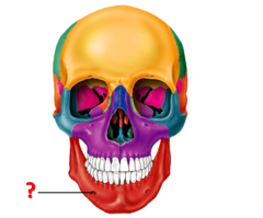<p>Identify this structure.</p>