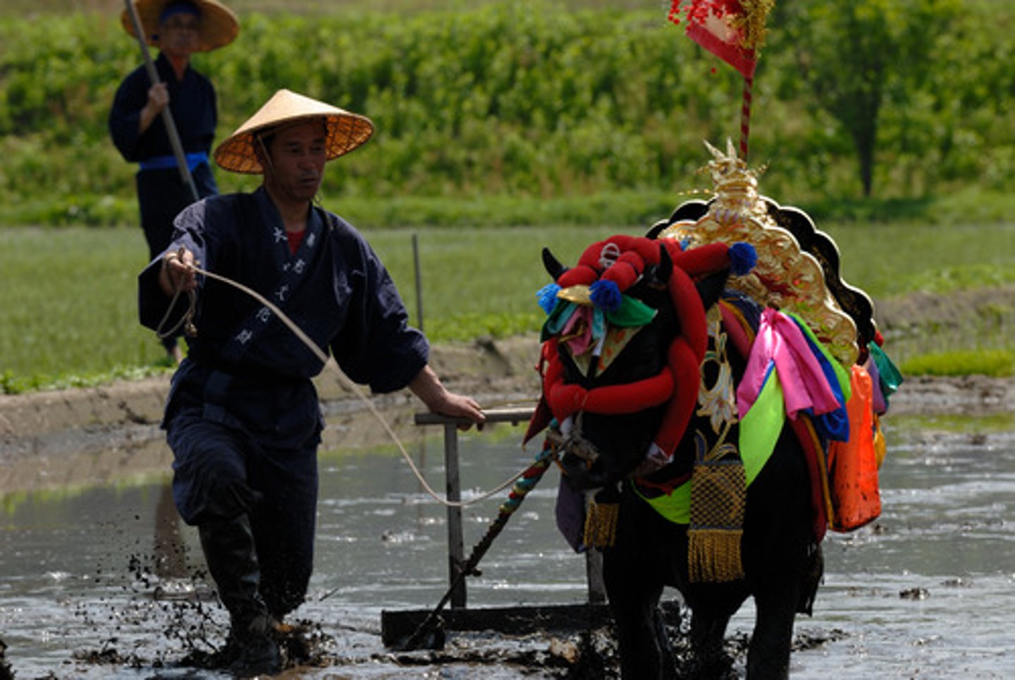 <p>di sản phi vật thể</p>