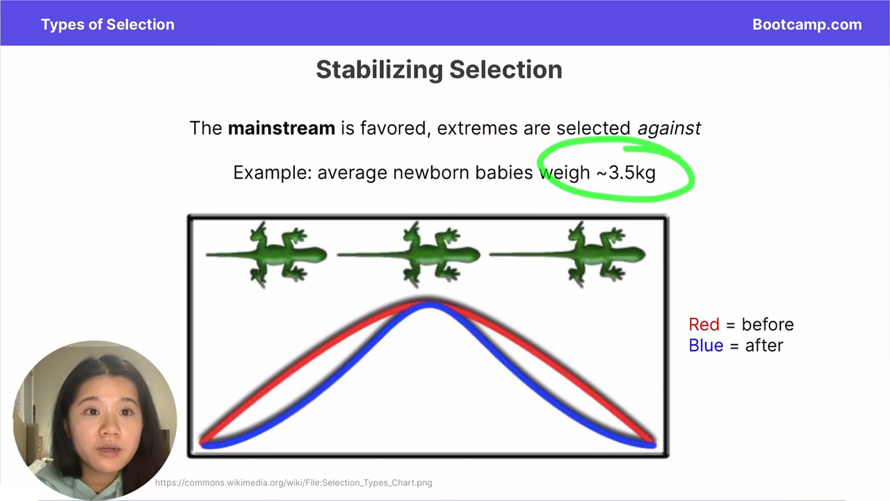 <p>average babies born are around 3.5 kg </p>