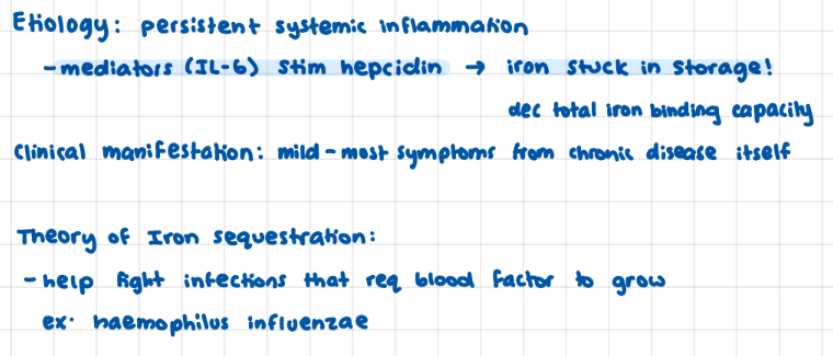 <p>IL-6 stip hepcidin → iron sequestration (attached to ferratin on mucosal lining, sloughed off)</p>