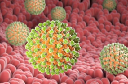 <p>What is this Waterborne Virus?</p><p>-<strong>dsRNA </strong>naked virus with <strong>icosahedral capsids</strong></p><p>-<strong>Double layer shell </strong>gives the <strong>wheel-like appearance</strong></p><p>-<strong>Mild self-limiting gastroenteritis</strong>, a <strong>major </strong>cause of<strong> infant death</strong></p><p>-<strong>50% </strong>of <strong>acute gastroenteritis </strong>in <strong>hospitalized children </strong></p>