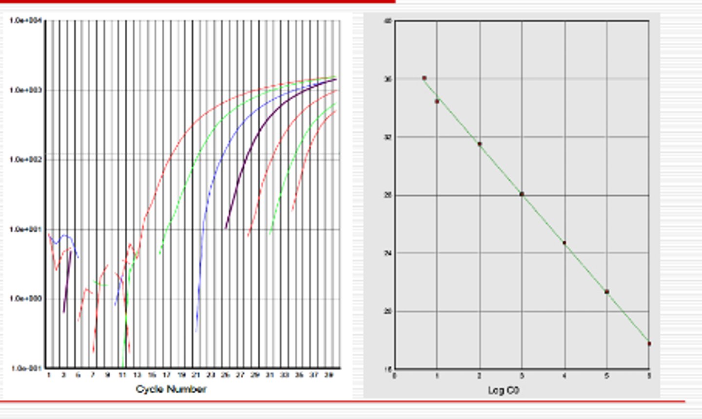 <p>sample is prepared against standard curve 3:20</p><p>left=highest amount of DNA (fewer cycles)</p><p>right=least amount of DNA (more cycles)</p>