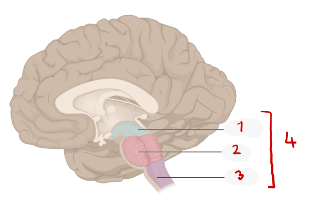 <p>4? </p>