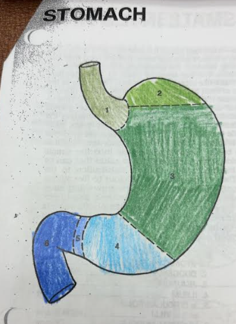 <p>What is number 6? </p>