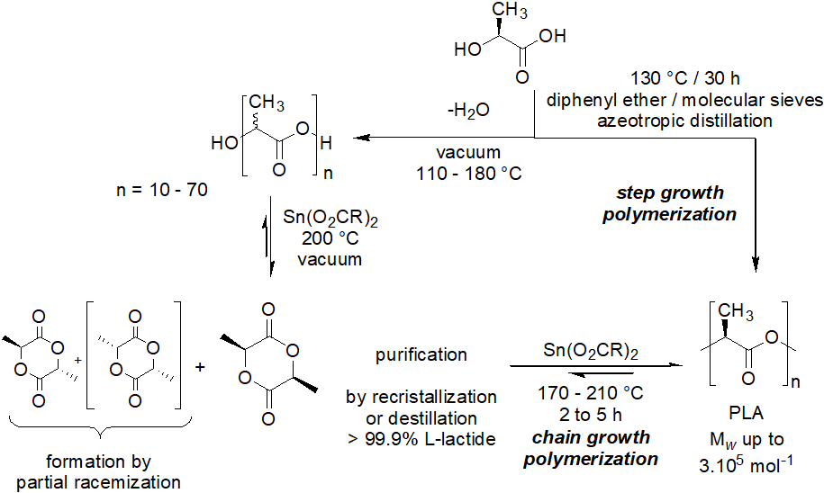 <p>Step growth polymerization:</p><ul><li><p>1 step</p></li><li><p>requires high T and long reaction time</p><ul><li><p>so a lot of energy</p></li></ul></li><li><p>because of high T, need high boiling solvent</p><ul><li><p>use diphenyl ether (not green solvent)</p></li><li><p>need high T for azeotropic removal of water to shift the equilibirum towards high Mw polymers</p></li><li><p>without water removal, small polymers with bad material properties</p></li></ul></li></ul><p></p><p>Chain growth polymerization:</p><ul><li><p>mulitple steps</p><ul><li><p>but this approach is still aplied in industry due to higher Mw and less E demand</p></li></ul></li><li><p>LA is polymerized by increase of T to short prepolymers</p></li><li><p>these are cyclised to lactide dimers under Sn catalysis</p><ul><li><p>uses Sn catalyst which is rather toxic and bad for sustainability</p></li><li><p>it is not removed, so it stays in the polymer material and ends up with the consumer and it is also not recovered</p></li><li><p>Sn is a lewis acid which can cause epimerization</p></li><li><p>3 isomers are produced, only need L-lactide so need additional purification step - via recrystallization (much more E- efficient than destilation)</p></li></ul></li><li><p>L-lactide is then polyerized with a Sn catalyst to PLA</p><ul><li><p>still high T needed but for shorter time, so much less E needed</p></li><li><p>higher molecular weight</p></li></ul></li></ul><p></p>