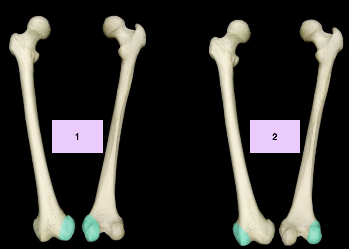 <p>What is 2?</p>