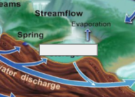 <p>The Water Cycle: Name this step</p>