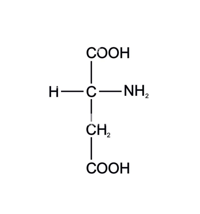<p>what amino acid</p>