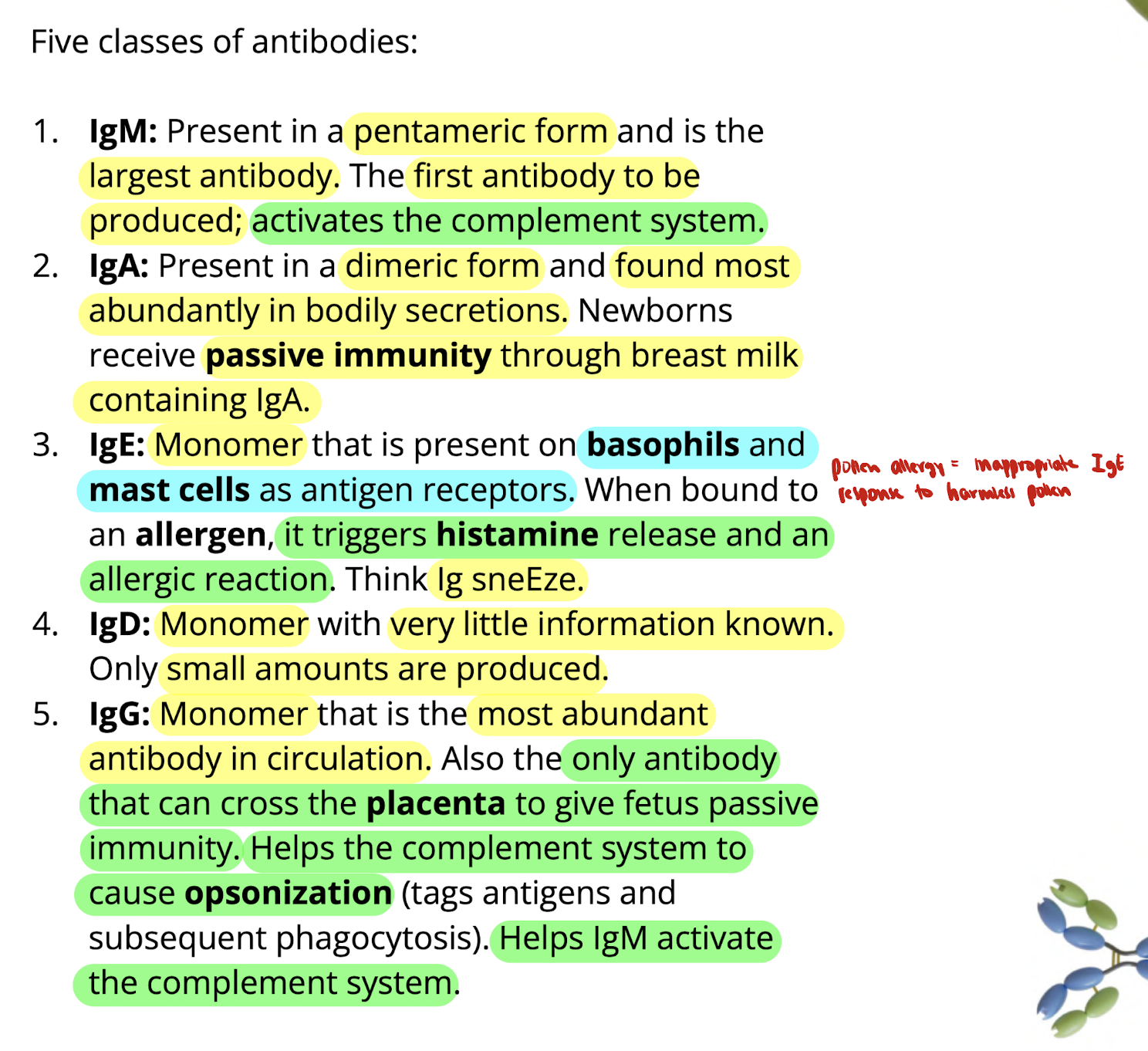 knowt flashcard image