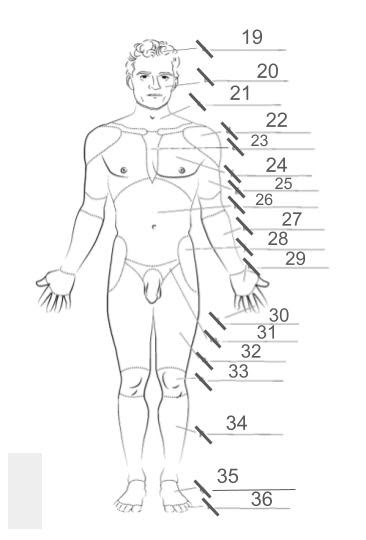 <p>26.</p>