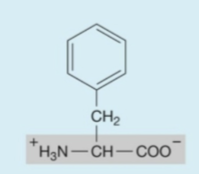 <p><strong>Hydrophobic</strong> (<strong>nonpolar</strong>) amino acids</p>