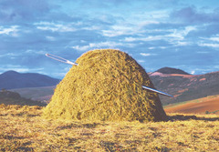 <p>стог сена</p>