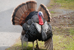 <p>November</p>
