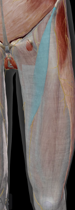 <p>Sartorius Origin</p>