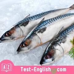 <p>We live by the sea, so we eat a lot of _____.</p>