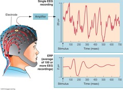 <p>/sliːp rɪˈsɜːtʃ/ | nghiên cứu về giấc ngủ | research into sleep problems</p>
