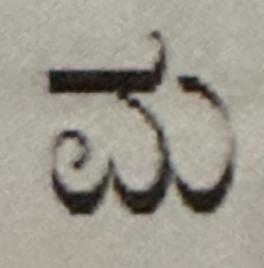 term image