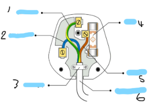 <p>Complete the labels: (image)</p>