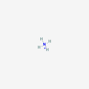 <p>NH<sub>4</sub><sup>+</sup></p>