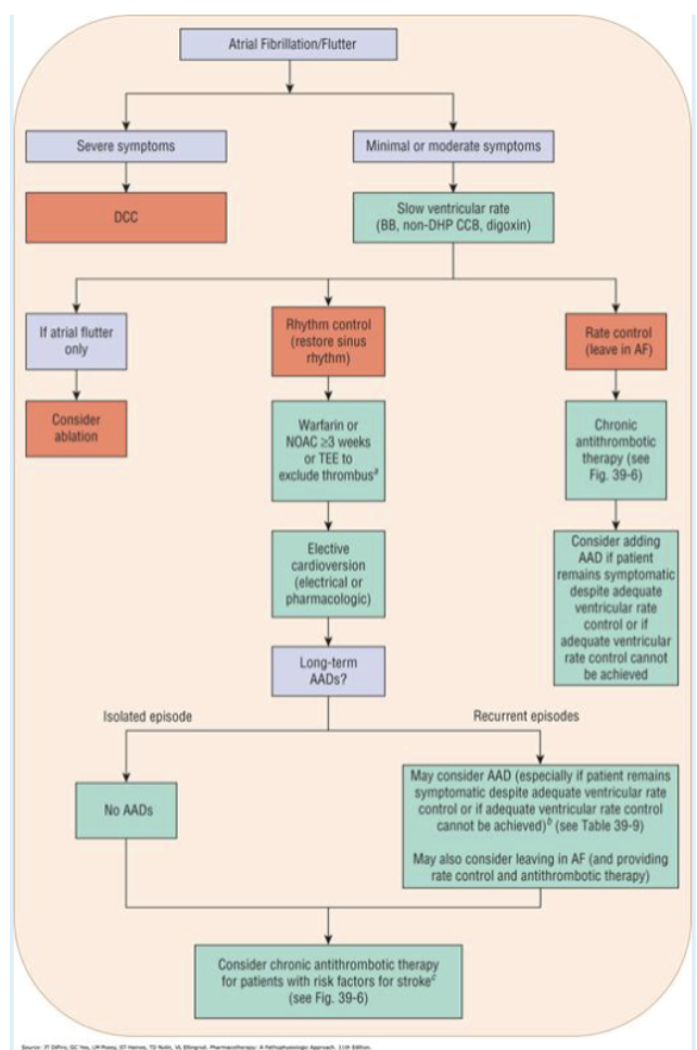 <p><span style="background-color: transparent;"><strong><u>2023 Guideline updates to rate vs rhythm discussion</u></strong></span></p>
