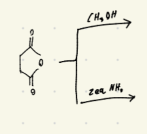 <p>what happens in each reaction </p>