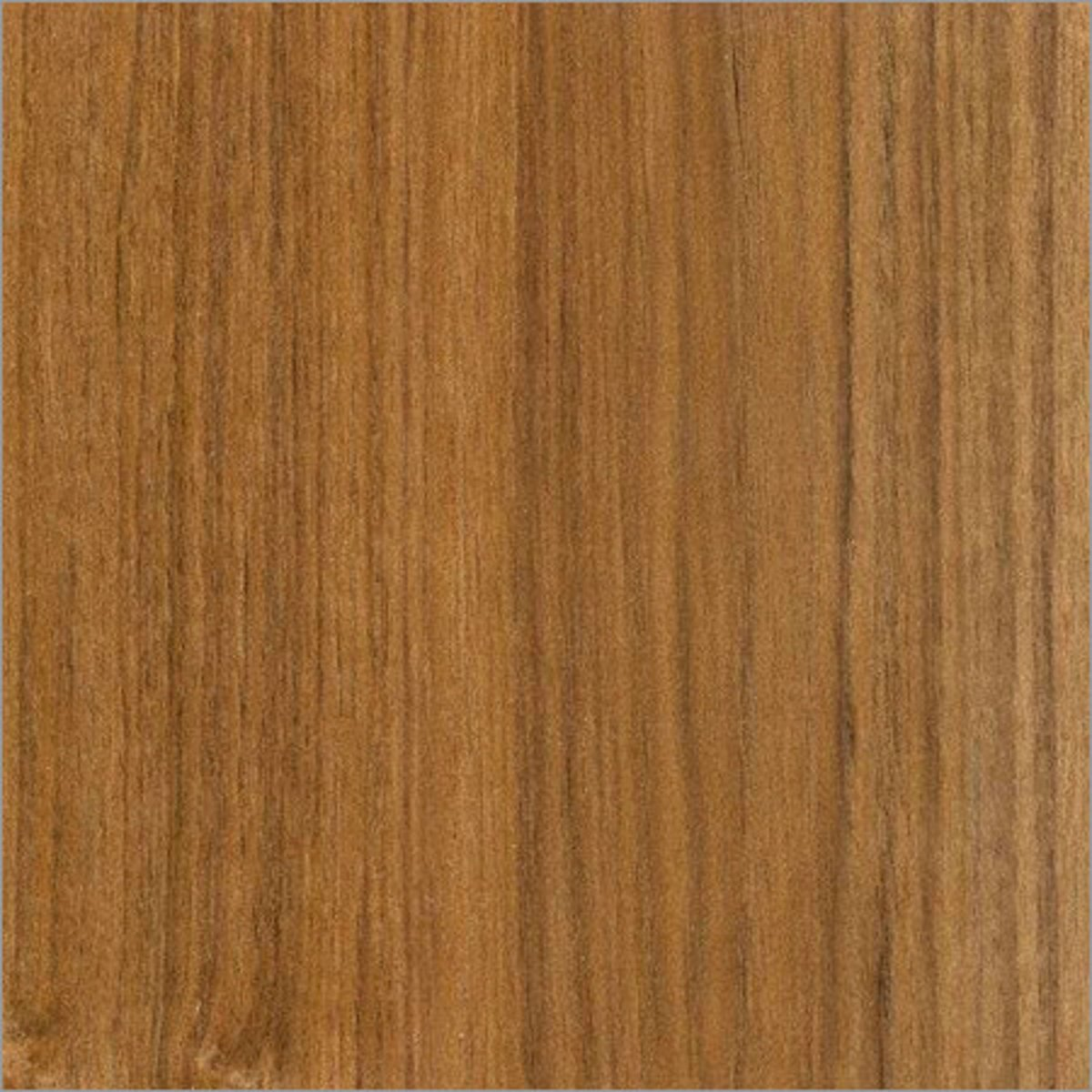 <p>Teak (hardwood)</p>