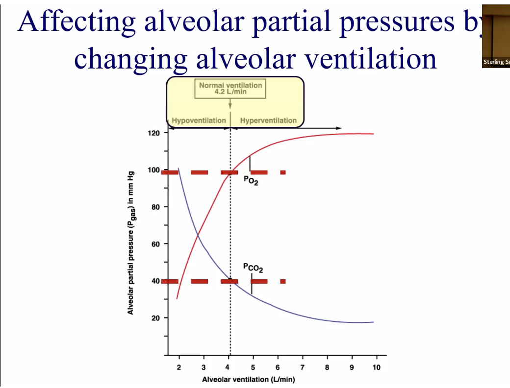 <p>100 O2, 40 CO2</p>