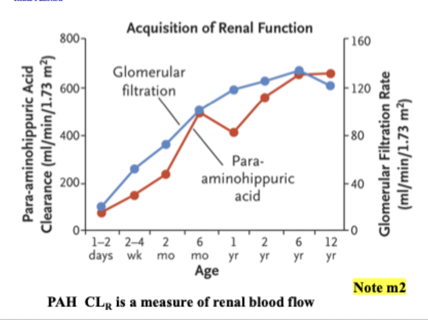 <ul><li><p>Renal blood flow and clearance increases rapidly within first year of birth </p></li></ul><p></p><ul><li><p>However, infants still show lower clearance and greater sensitivity to other age groups </p></li></ul><p></p>