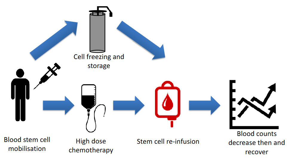 <p>The Principle of Autologous Transplant</p>