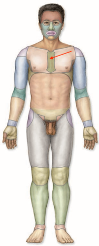 <p>what is this section called?</p>