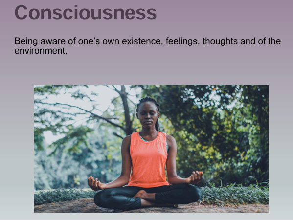 <p>Being aware of one’s own existence, feelings, thoughts and of the environment</p>