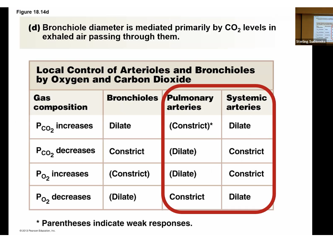 <p>in systemic the opposite</p>