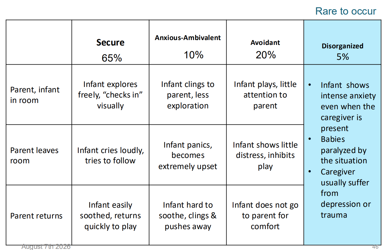 <ul><li><p>Secure Attachment (65% in NA samples) - associated w better social + emotional outcomes later</p><ul><li><p>Infant explores environment when caregiver is present (use caregiver as secure base)</p></li><li><p>Shows distress when caregiver leaves + seeks comfort when caregiver returns</p></li><li><p>Quickly calms and resumes exploration</p></li><li><p>Comfortable with strangers when caregiver present</p></li></ul></li><li><p>Avoidant (20%)</p><ul><li><p>Little distress when caregiver leaves</p></li><li><p>Avoids or ignores caregiver on reunion</p></li><li><p>May treat caregiver and stranger similarly</p></li></ul></li><li><p>Resistant/Anxious-Ambivalent Attachment (10%)</p><ul><li><p>Infant remains close to caregiver</p></li><li><p>Limited exploration</p></li><li><p>Extremely distressed by separation, Ambivalent during reunion, May seek contact but resist comfort → thought to develop when parenting style is inconsistent (varying levels of responsiveness to their needs) </p></li></ul></li><li><p>Disorganized/Disoriented (5%) (review)</p><ul><li><p>Confused or contradictory behaviour toward caregiver; May approach caregiver but then avoid or withdraw; May freeze, appear dazed, fearful, or anxious </p></li><li><p>Often shows distress even when caregiver is present </p></li><li><p>Linked to frightening, inconsistent, or highly stressed caregiving environments</p></li></ul></li></ul><p></p>